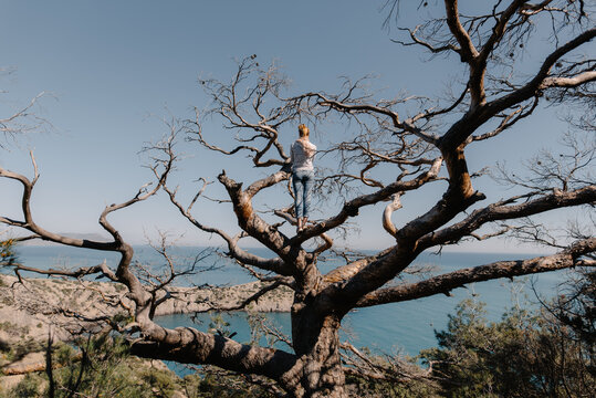 Woman standing on tree and Looking At Ocean