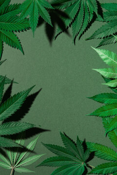 Cannabis leaves on green