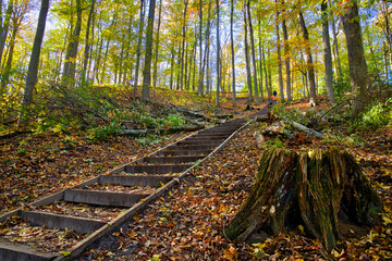 Looking up the valley of maple trees in autumn.
