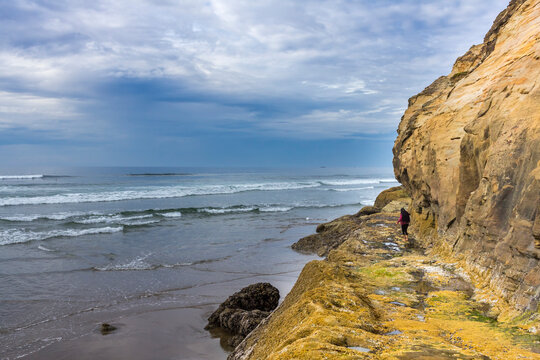 young woman walking along wet rocky cliff near ocean at low tide