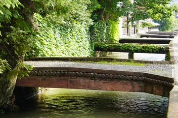 夏の小さなお濠/Small moat at samurai residence in summer