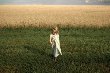 Little girl walks on grass near wheat field