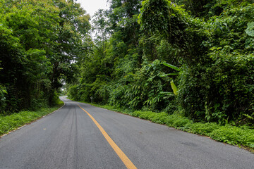 Rural Country Road on the Mountains early in the morning on the Doi Phuka National Reserved Park, Nan Province, Thailand