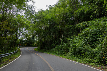 Rural Country Road on the Mountains early in the morning on the Doi Phuka National Reserved Park, Nan Province, Thailand
