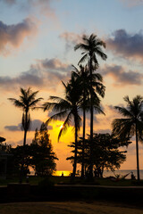 Obraz na płótnie Canvas Sunset and coconut in Bailan beach