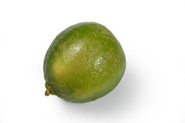 Lemon Tahiti