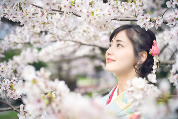 着物の女性　和服　京都　桜