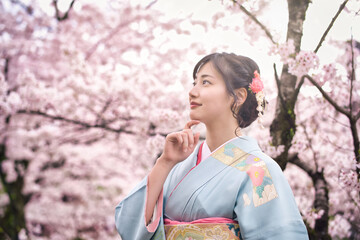 着物の女性　和服　京都　桜
