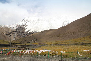 View of the Karola glacier near the highway, Tibet, China