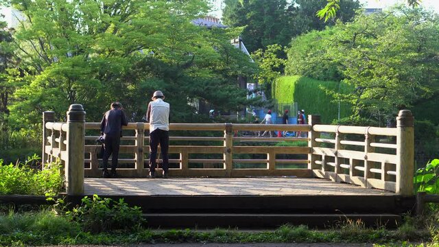 The population of Japan is one of the longest-lived in the world, for this reason many elderly people are seen walking everywhere. The shakujii park sunsets in tokyo are ideal to share a nice moment.