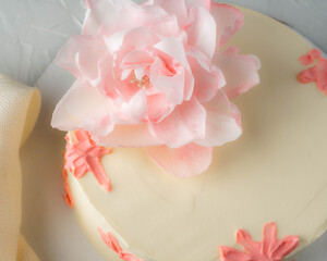 Truffle cake covered with white cream cheese