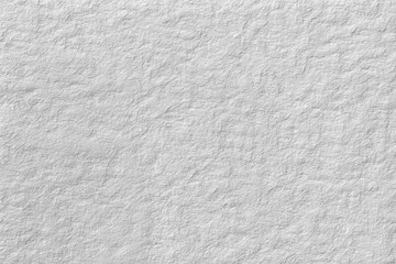 Fototapeta premium Monochrome texture background. Image includes the effect the black and white tones. Surface looks rough. Gray printing element.