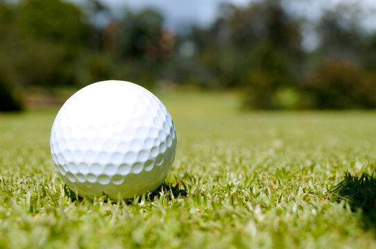 Pelota De Golf" Images – Browse 169 Stock Photos, Vectors, and Video |  Adobe Stock