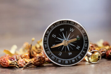 Fototapeta na wymiar Compass and medicinal herb, dried rose hips, forest travel.