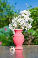A sprig of white lilac and woodlouse grass flowers in a pink ceramic vase with a reflection. Beautiful still life on a green background