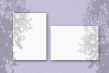 2 sheets of white textured paper against a lilac wall. Mockup overlay with the plant shadows. Natural light casts shadows from an exotic plant. Flat lay, top view. Horizontal orientation