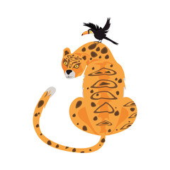 wild toucan and leopard animals