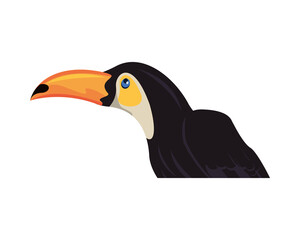 wild toucan bird animal icon