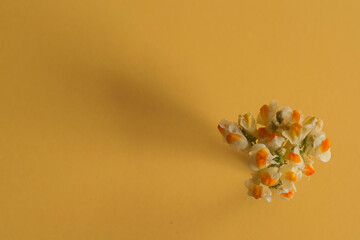 yellow small flowers on a yellow background