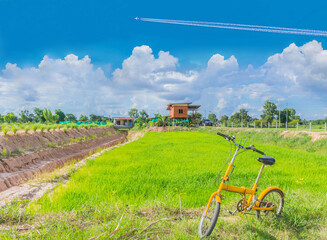 Landscape green paddy rice field with beautiful sky cloud in the countryside Thailand.