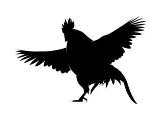 Vector Illustration. Black Silhouette of a rooster design. isolated male chicken on a white background