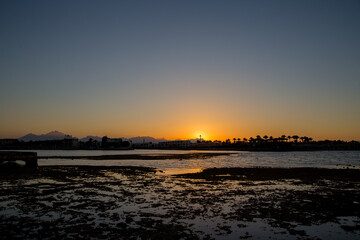 sunset on the sea with palm trees in the evening