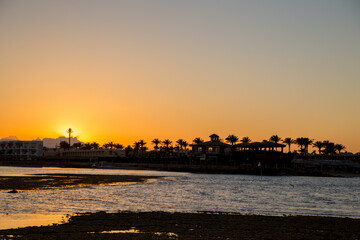 Fototapeta premium sunset on the sea with palm trees in the evening