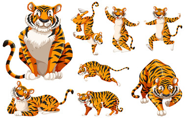 Fototapeta na wymiar Set of tiger cartoon character
