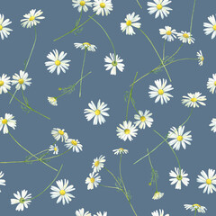 Seamless watercolor pattern of white wild daisies