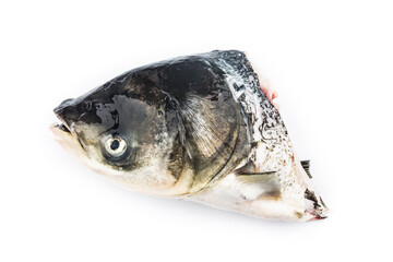 Fresh silver carp head on top of white background，