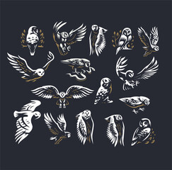 Set of vector Owls illustrations. 