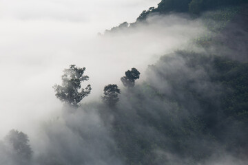 Landscape of Misty mountains and forest in the morning