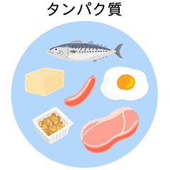 五大栄養素　タンパク質の食品