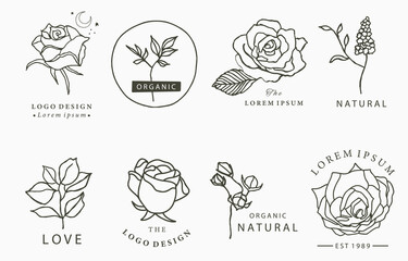 Beauty occult logo collection with rose, flower,leaf.Vector illustration for icon,logo,sticker,printable and tattoo