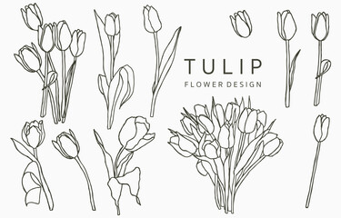 Fototapeta Black tulip logo collection with leaves,geometric.Vector illustration for icon,logo,sticker,printable and tattoo obraz