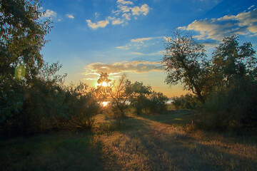 Sunset on the shore of a forest lake.
