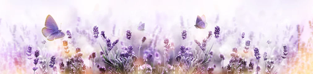 Foto op Plexiglas Purpere tot bloei komende lavendel en vliegende vlinder in aardpanorama. © Soho A studio