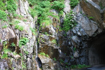 Shenandoah National Park, Virginia