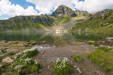 Summer view of Bombasel lake in the Cermis alps, Trentino