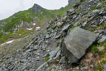 Summer in the mountains