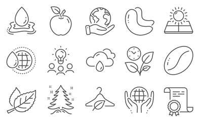 Set of Nature icons, such as Christmas tree, Apple. Diploma, ideas, save planet. Cashew nut, Organic tested, Sun energy. Coffee beans, Leaves, World water. Water splash, Leaf, Rainy weather. Vector