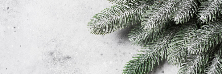 Happy New year and merry Christmas. Christmas tree branches on a light gray background. Christmas background. Banner