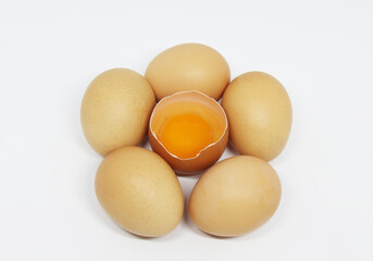 eggs on a white background