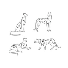 Сheetah icon set. Different type of wild cat. Vector illustration for prints, clothing, packaging, stickers.