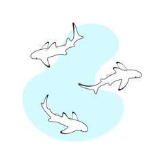 Reef sharks swim in water around. Flat line vector illustration. 