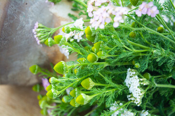 Meadow medical herbs - Chamomile and Achillea. Alternative medicine herbal grass