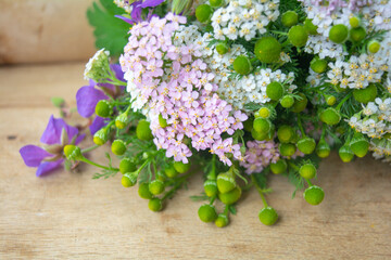 Meadow medical herbs - Chamomile and Achillea. Alternative medicine herbal grass © Koxae