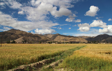 Autumn view of Tibetan Village and highland barley field in cloudy day, Tibet, China