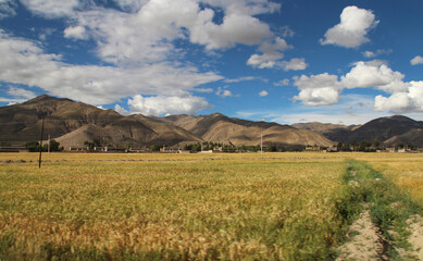 Obraz premium Autumn view of Tibetan Village and highland barley field in cloudy day, Tibet, China