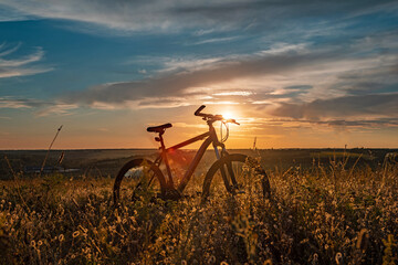 Fototapeta na wymiar cycling through fields and meadows